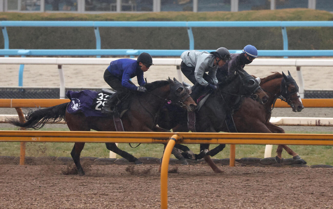 Cウッドを3頭併せで追い切るアランカール（中央）（撮影・白石智彦）