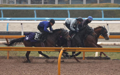 Cウッドを3頭併せで追い切るアランカール（中央）（撮影・白石智彦）