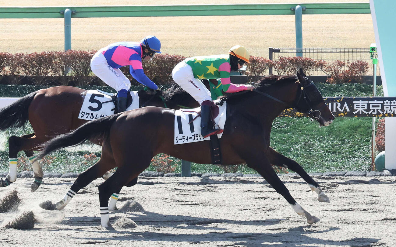 10日東京2R未勝利戦を制したジーティーブラック