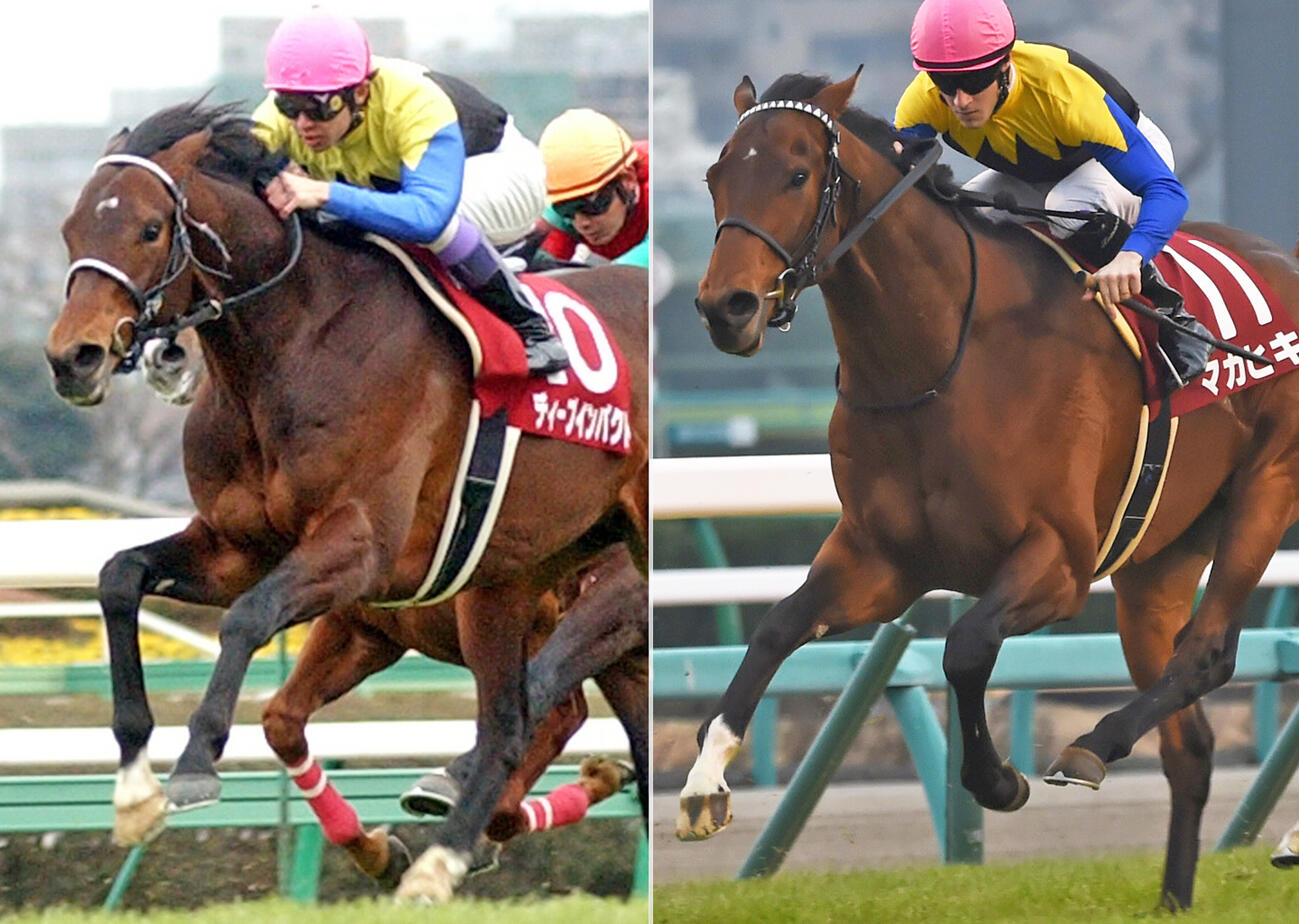 05年弥生賞を制したディープインパクト（左）と産駒で16年弥生賞を制したマカヒキ