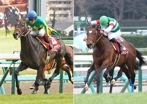 15年弥生賞を制したサトノクラウン(左)と初年度産駒で23年弥生賞を制したタスティエーラ