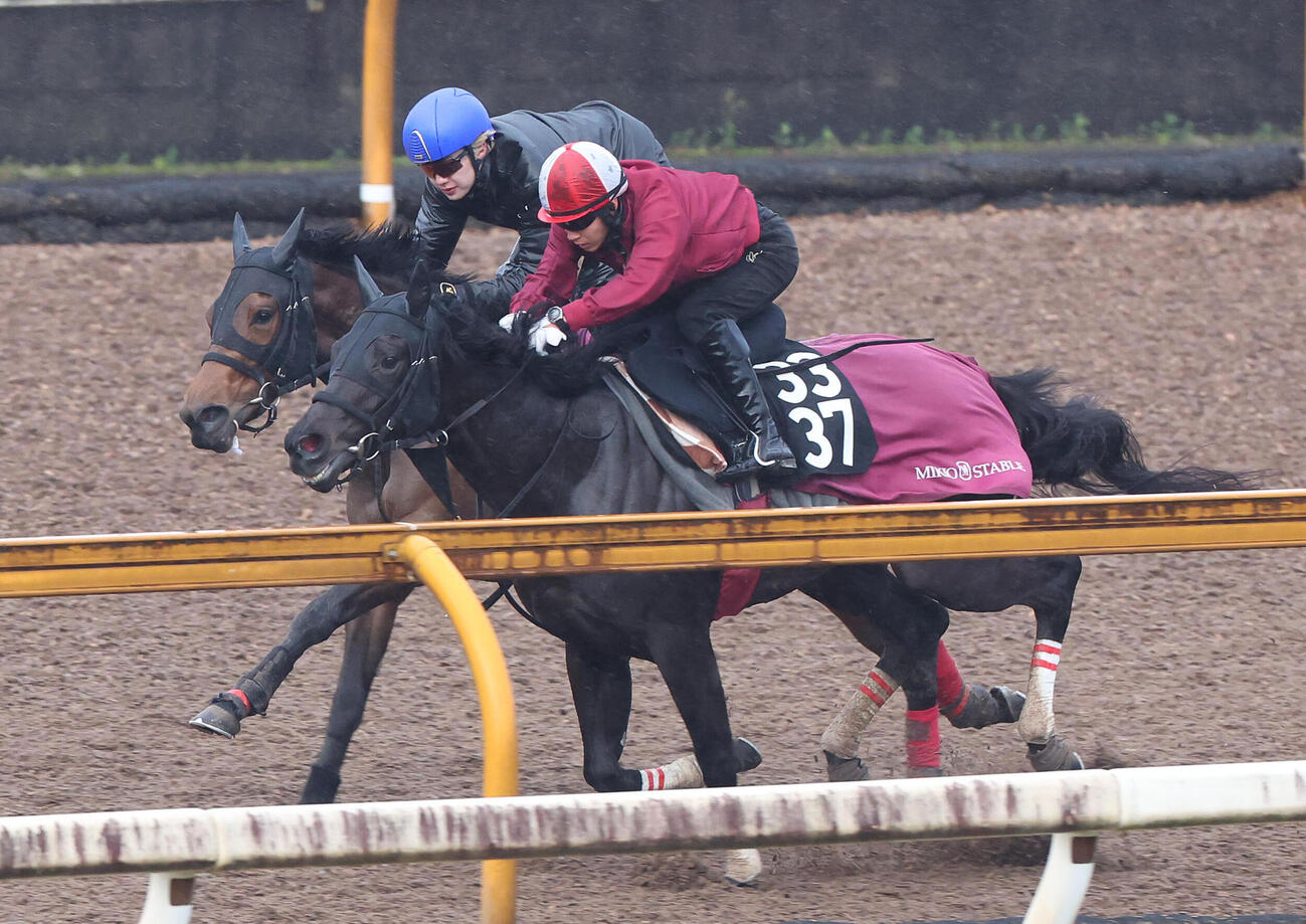 斉藤騎手を背にCウッドを併せ馬で追い切るルージュサウダージ（左）（撮影・白石智彦）