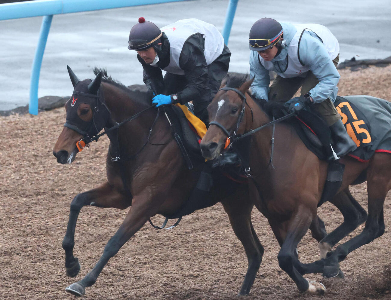 ニシノティアモ（左）は美浦ウッドでリクスダラーと併せて追い切られた（撮影・丹羽敏通）