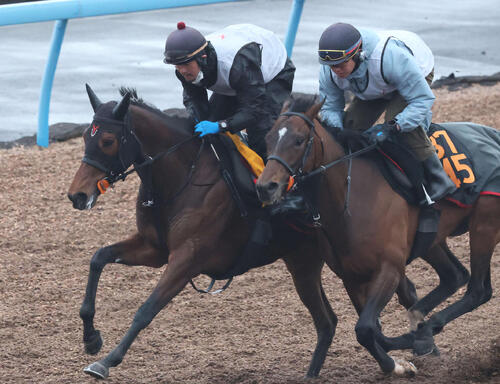 ニシノティアモ(左)は美浦ウッドでリクスダラーと併せて追い切られた(撮影・丹羽敏通)