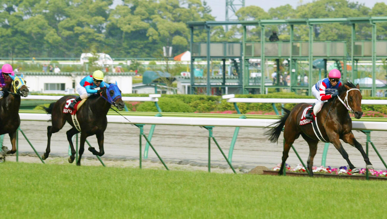 05年金鯱賞を制し連覇を達成したタップダンスシチー