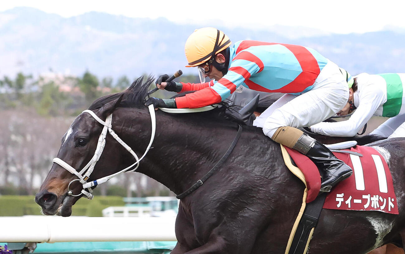 阪神11R阪神大賞典　直線力強く伸びて阪神大賞典を連覇したディープボンド（2022年3月撮影）