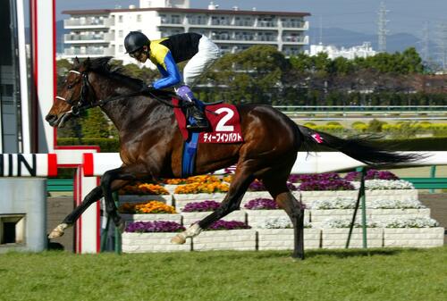 阪神大賞典（G2）　他の9頭を寄せ付けることなく快勝したディープインパクト（2006年3月撮影）