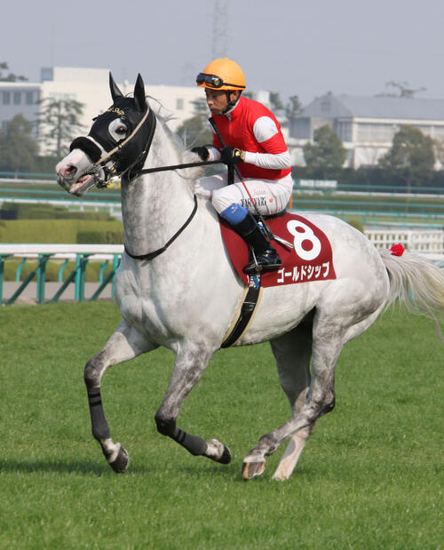 ゴールドシップ＝2015年3月22日、11R　阪神大賞典