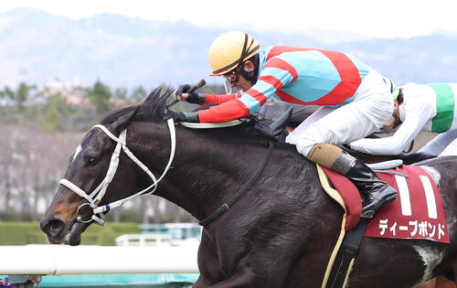 阪神11R阪神大賞典　直線力強く伸びて阪神大賞典を連覇したディープボンド（2022年3月撮影）