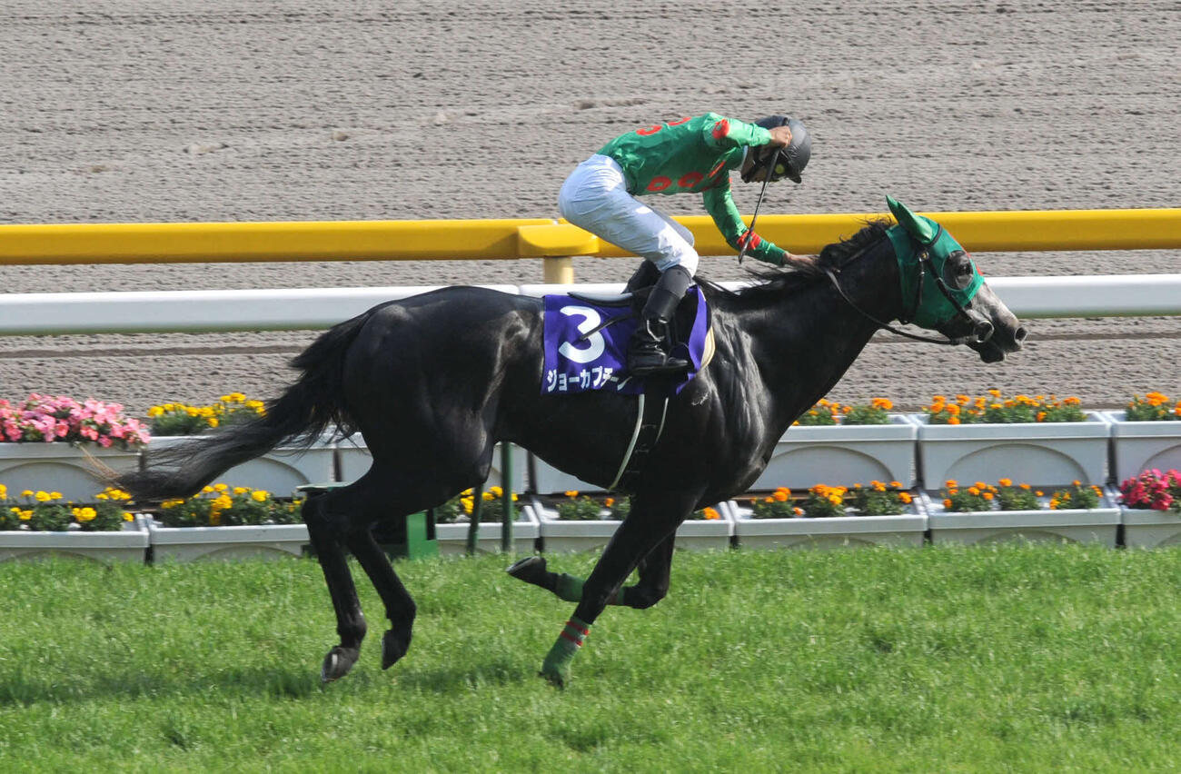 ジョーカプチーノ（2009年5月撮影）