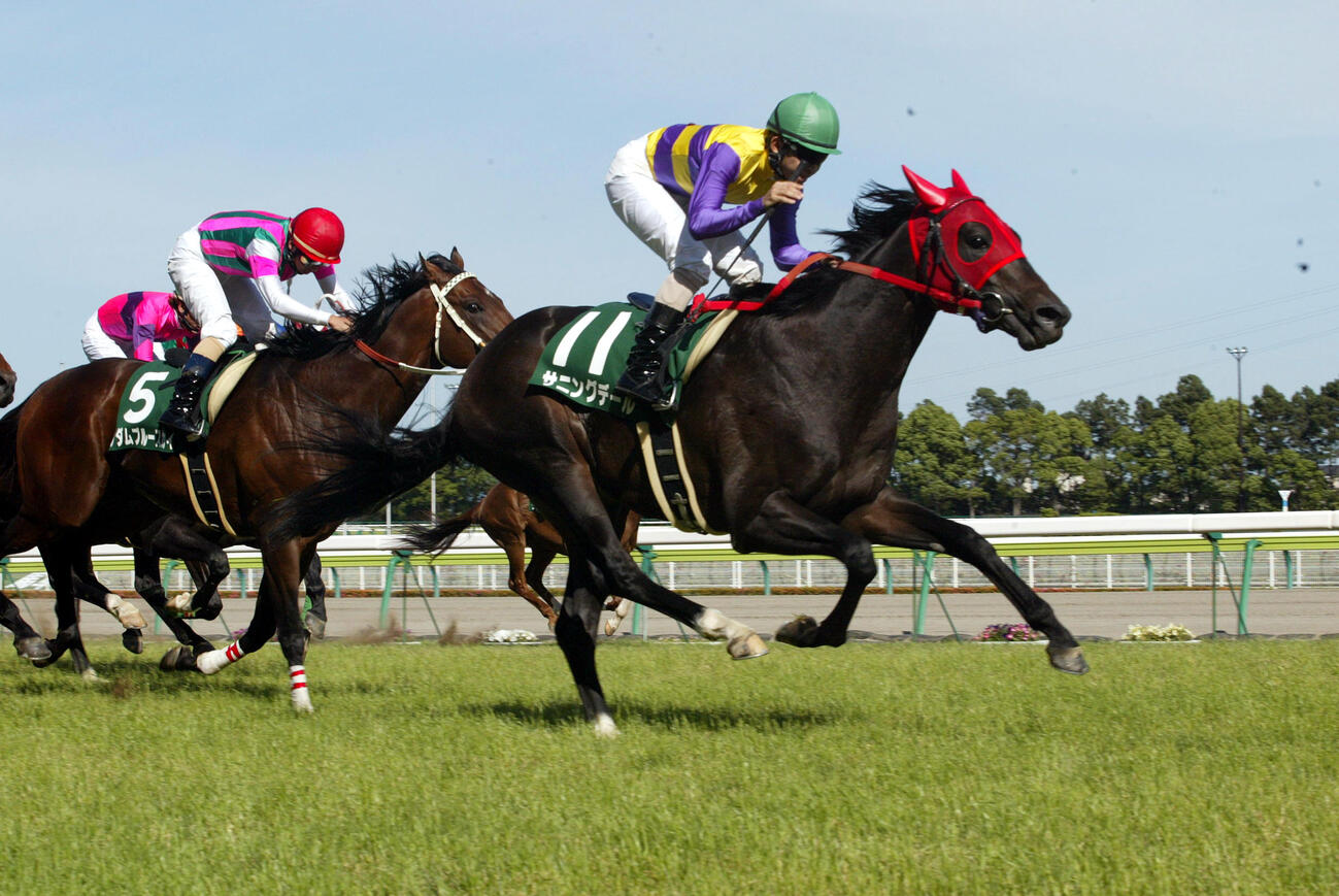 ファルコンステークス（G3）　1着サニングデール（2002年6月撮影）