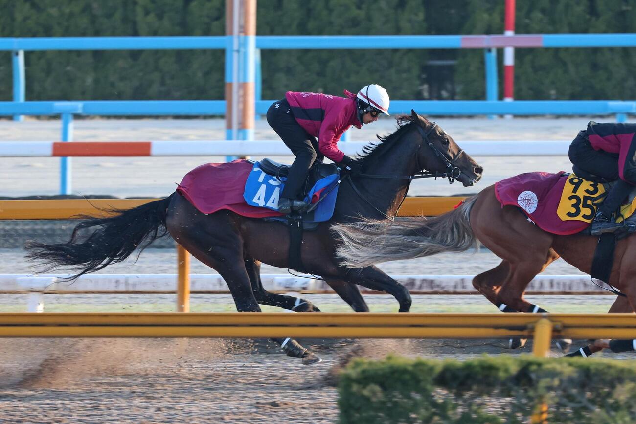 併走馬に遅れるも力強い動きを見せたダノンシーマ