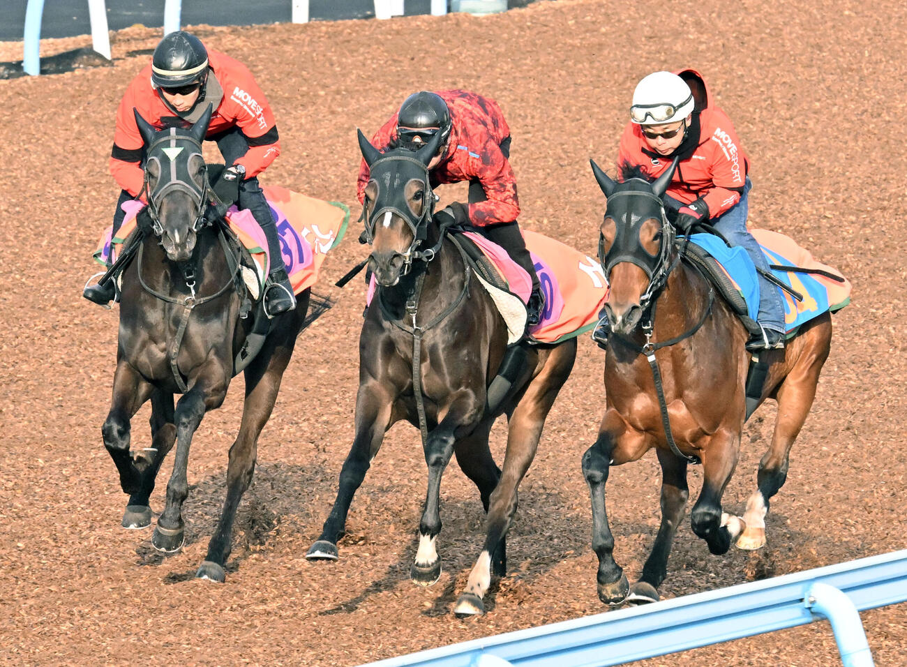 18日、美浦ウッドを3頭併せで追い切るコズミックボックス（中央）