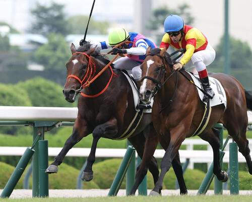 25年9月14日、阪神5R新馬戦を勝利したブルースカイブルー(左)