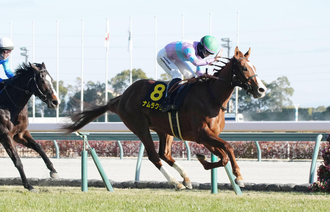 25年紅梅Sを制したナムラクララ