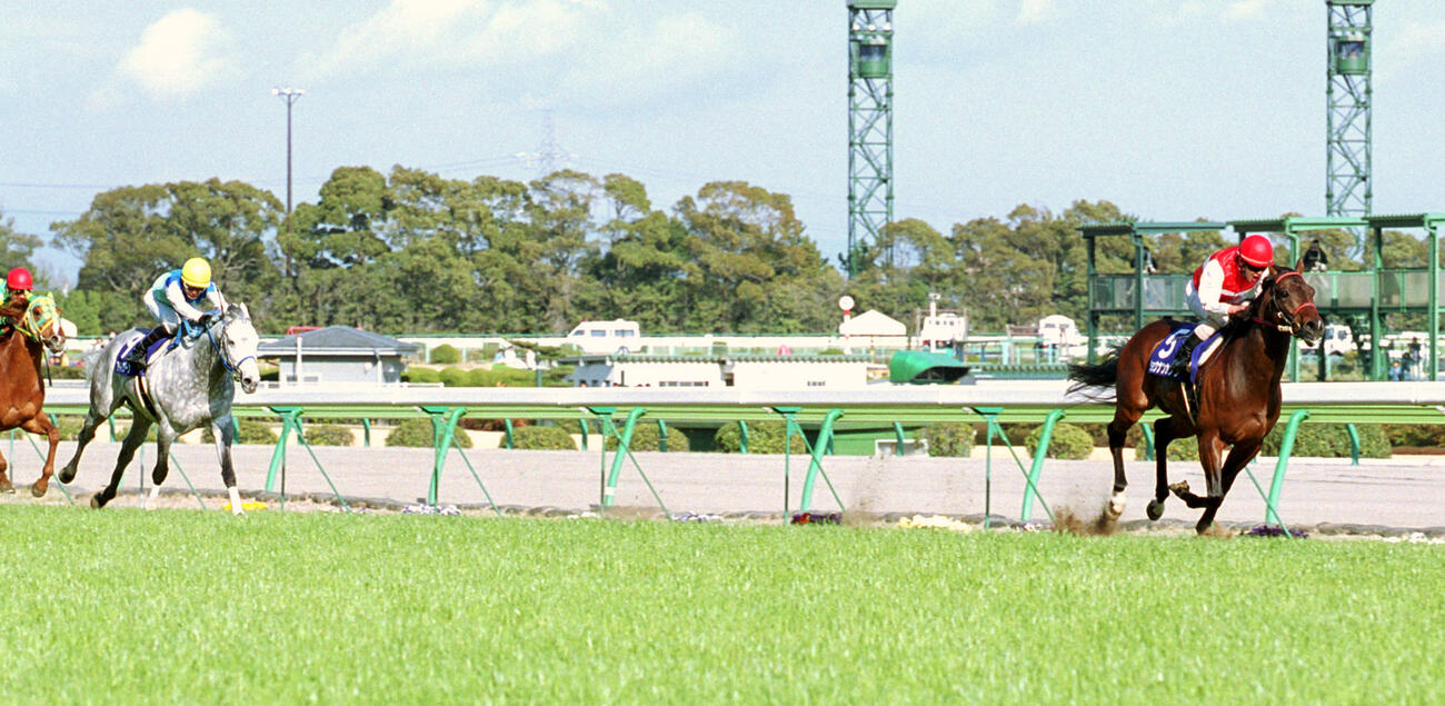 02年高松宮記念を制したショウナンカンプ