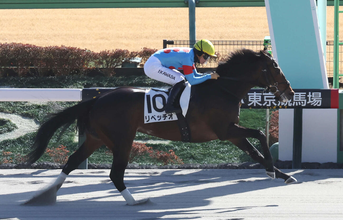 1月31日東京7Rの3歳1勝クラスを制したリベッチオ