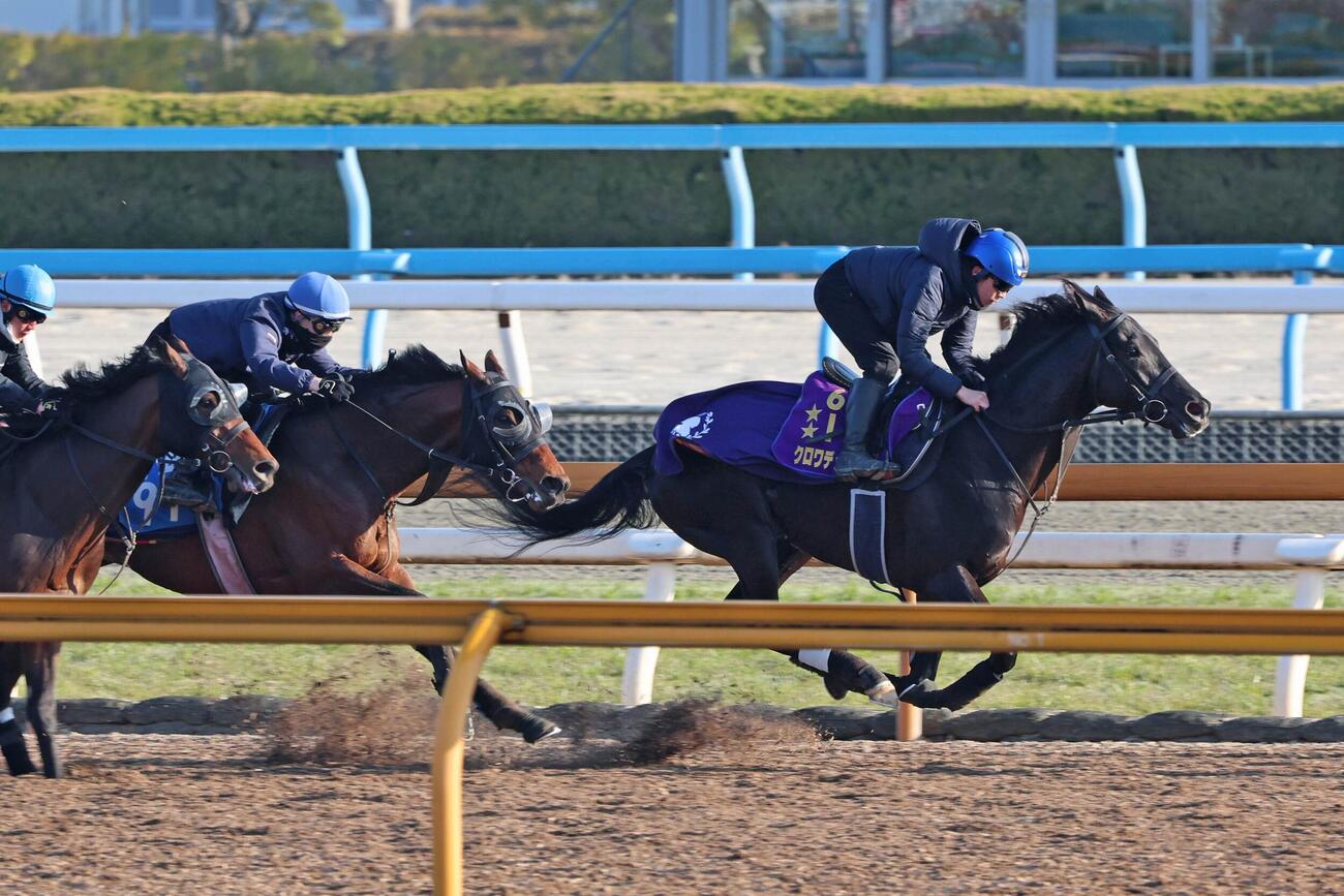 併走馬に先着するクロワデュノール（右）