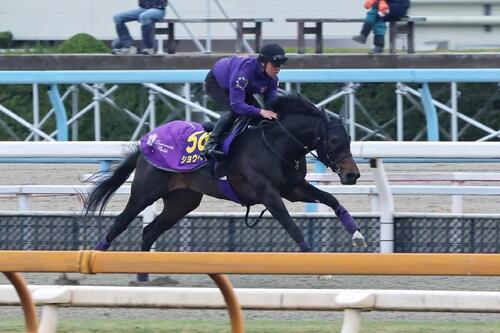 DPコースで低重心の鋭い伸びを見せたショウヘイ