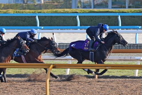 併走馬に先着するクロワデュノール(右)
