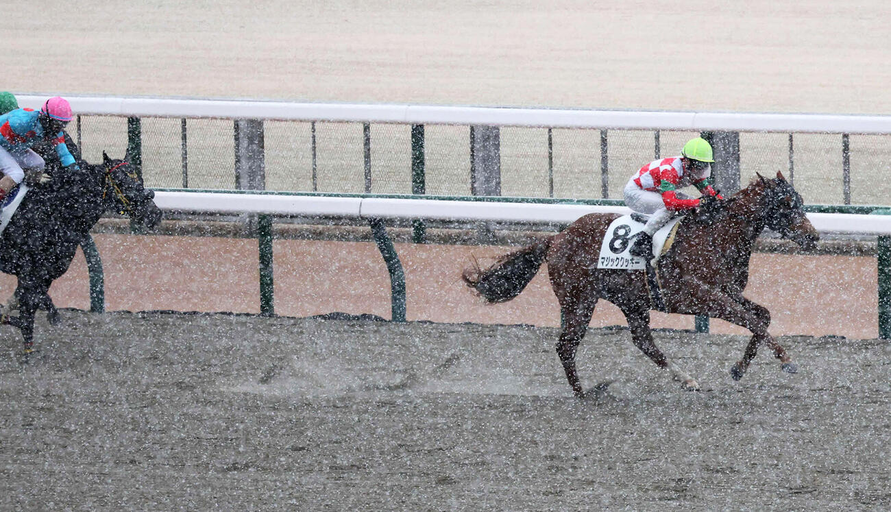 2月7日東京7R、3歳1勝クラスを制したマジッククッキー