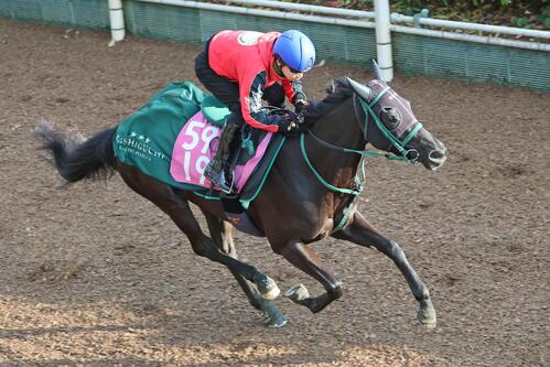 ニシノサリーナ(2026年4月8日撮影)