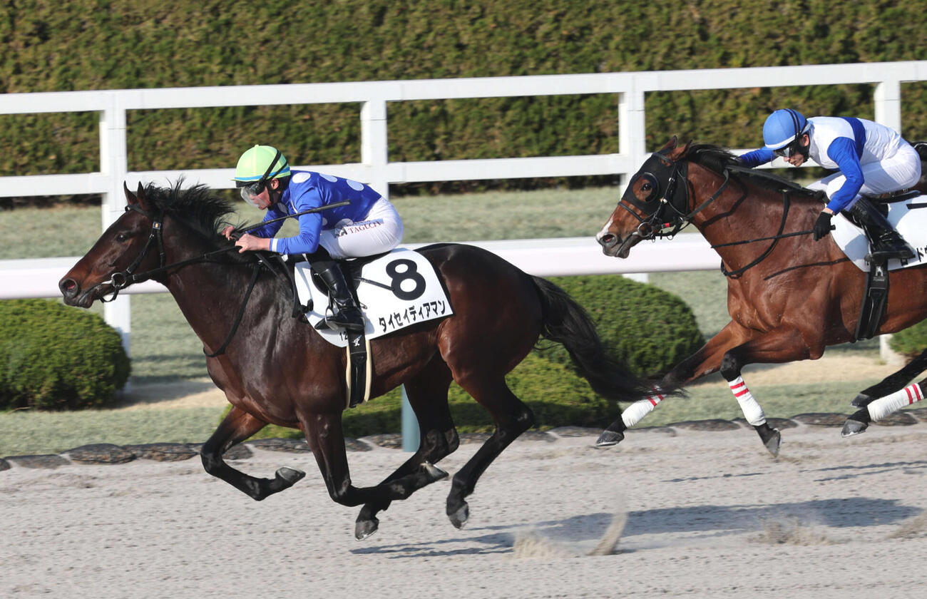 3月21日阪神12Rの4歳以上1勝クラスを制したタイセイディアマン