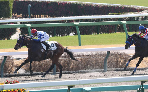2月28日中山3R、3歳未勝利戦を逃げ切ったリゾートライン