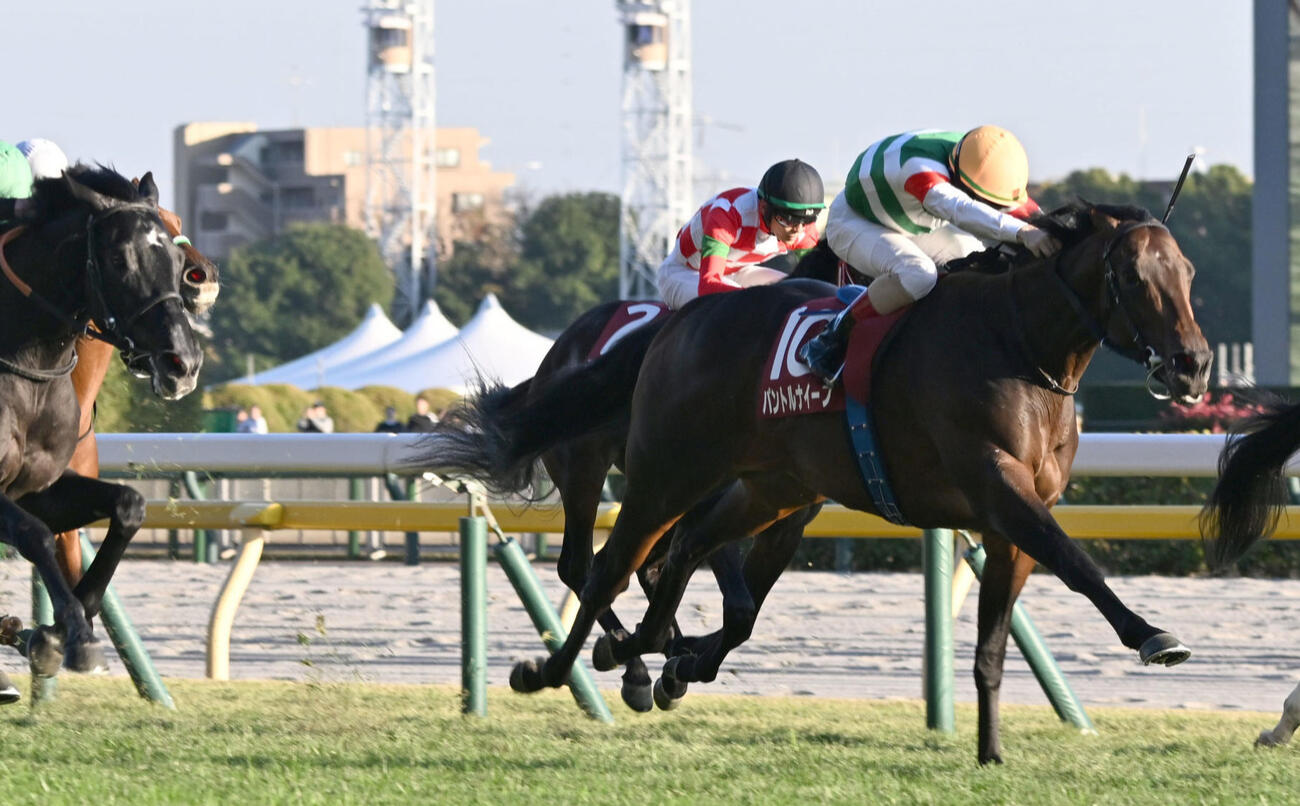 東スポ杯2歳Sを制したパントルナイーフ