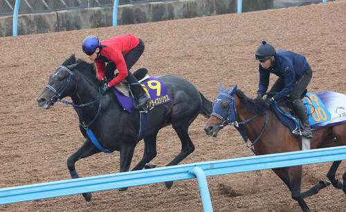 15日、リアライズシリウス(左)は津村騎手を背に美浦ウッドでレッドアトレーヴと併せて追い切られた