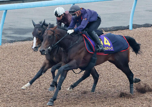 15日、パントルナイーフ(手前)は美浦ウッドを併せ馬で追い切られた