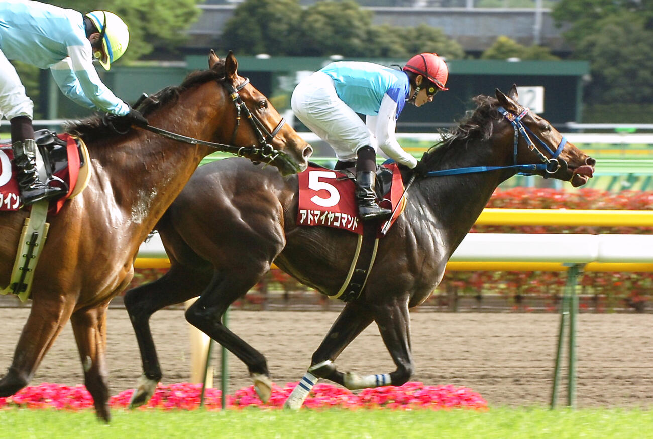 08年青葉賞を制したアドマイヤコマンド