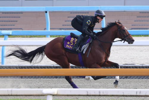 22日、ポリトラックを単走で追い切るアドマイヤズーム