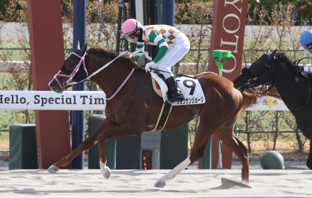 1月25日京都8Rの4歳以上2勝クラスを制したショウサンジョージ、