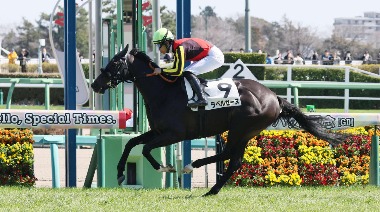 デビュー戦の3月8日中山5R3歳未勝利戦を制したラベルセーヌ
