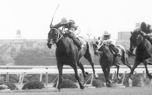 85年天皇賞・春を制したシンボリルドルフ