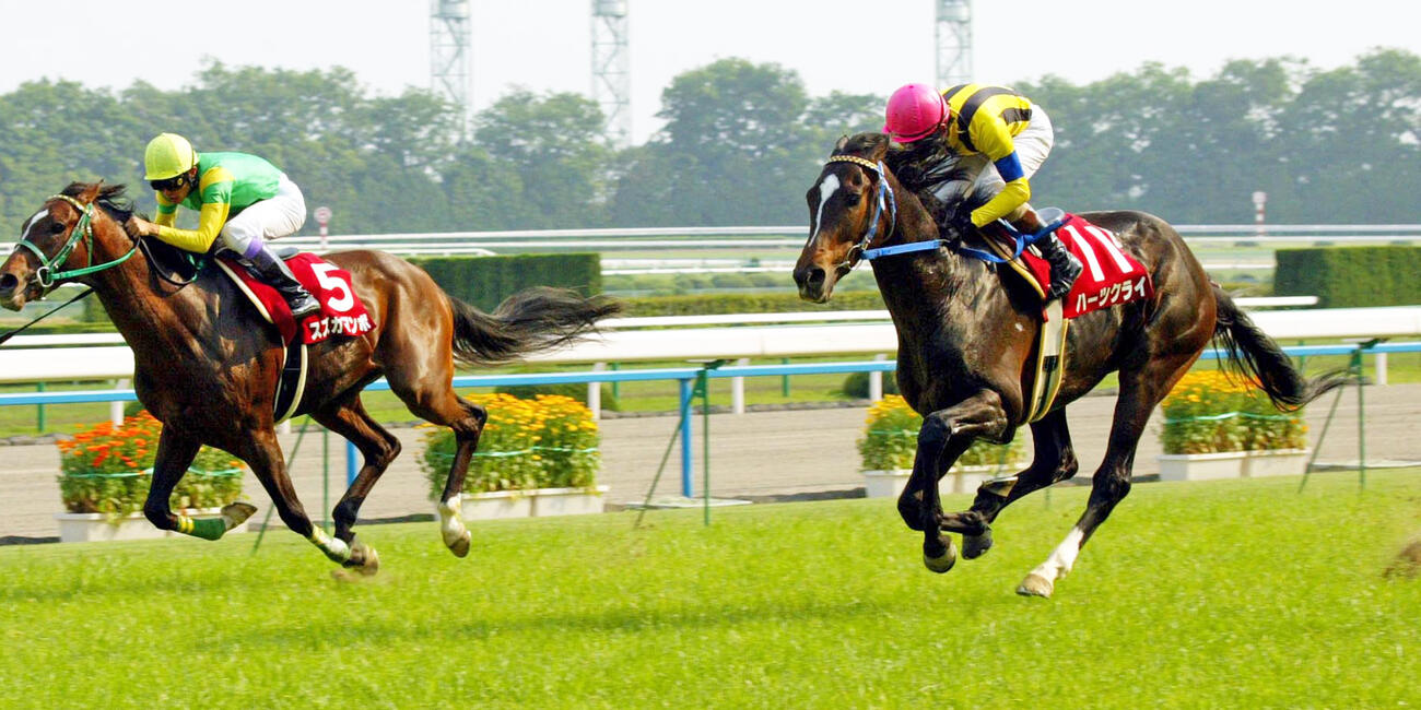04年京都新聞杯を制したハーツクライ（右）
