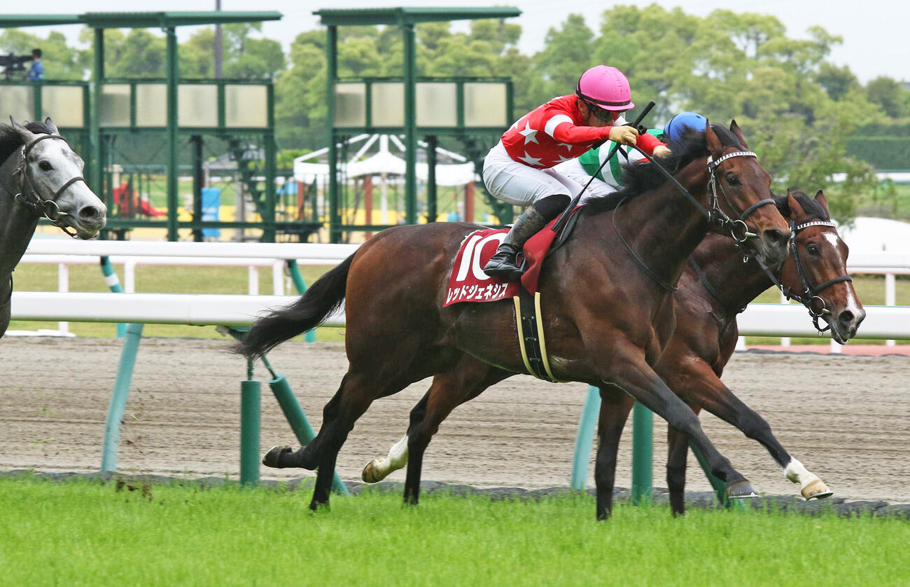 21年京都新聞杯を制したレッドジェネシス