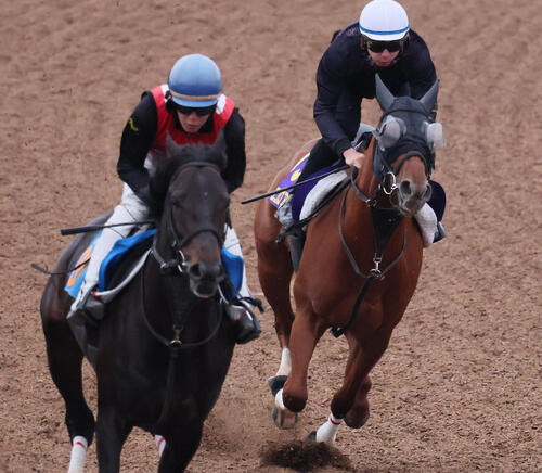 エコロアルバ（右）は横山和生騎手を背に美浦ウッドで追い切られた（撮影・丹羽敏通）