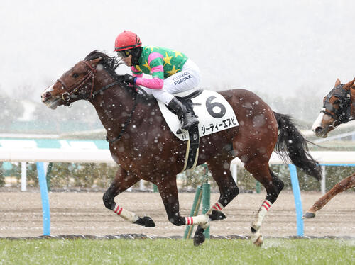 小倉6R、3歳未勝利を勝ち上がったジーティーエスピ（2025年2月8日撮影）