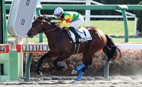 1月11日中山4Rの3歳1勝クラスを制したエコロシード