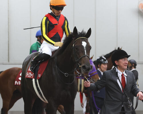 542キロで金鯱賞3着だったクイーンズウォーク