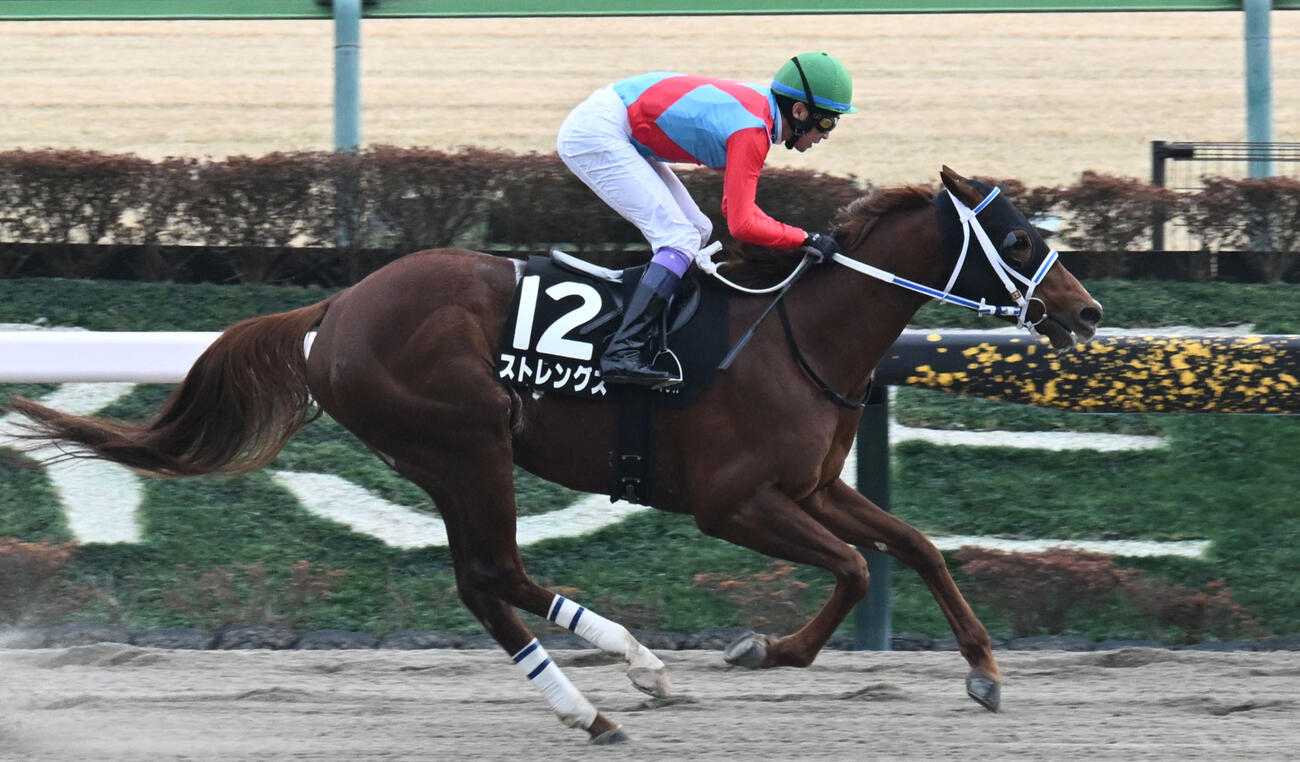 ストレングス