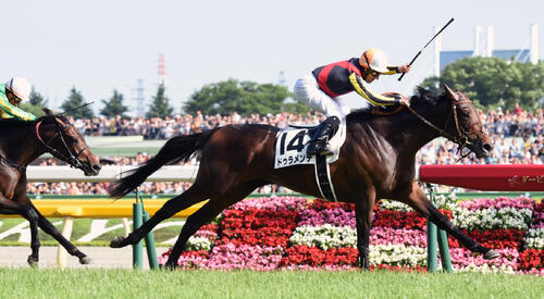 15年ダービーを制したドゥラメンテ