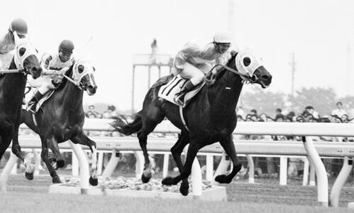 78年ダービーを制したサクラショウリ
