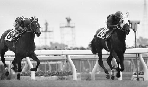 76年ダービーを制したクライムカイザー(右)