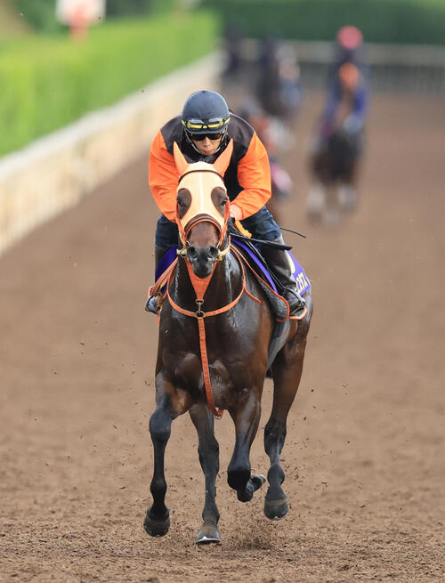 坂路を単走で追い切るコンジェスタス
