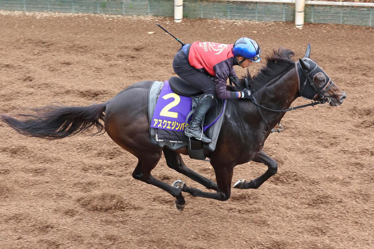 岩田康誠騎手が騎乗し、坂路を真っ直ぐに駆け上がるアスクエジンバラ