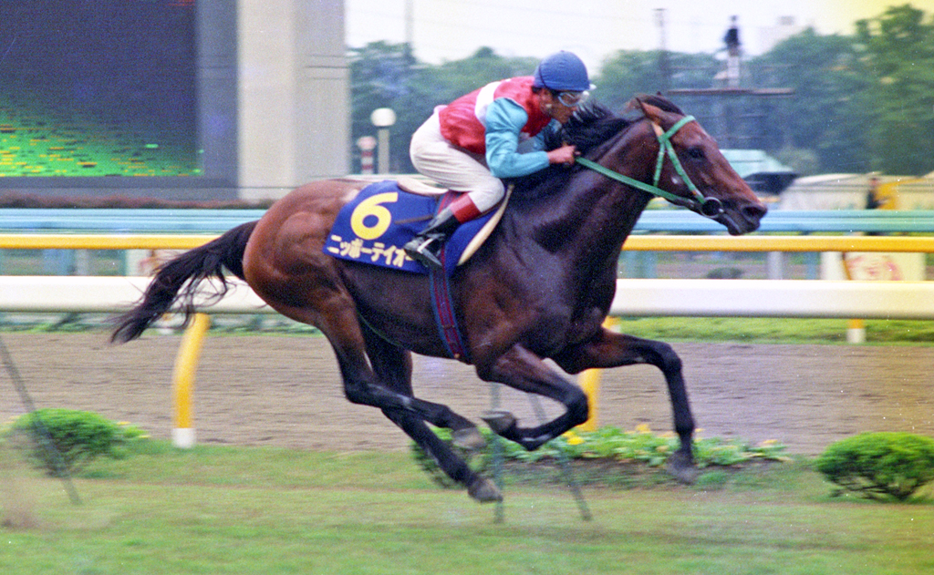 88年安田記念を制したニッポーテイオー