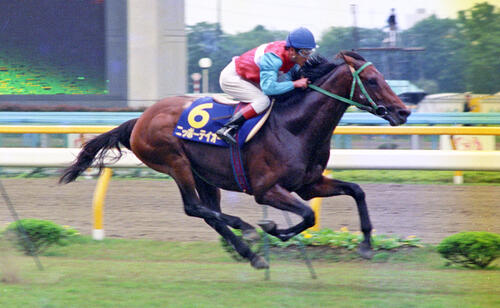 88年安田記念を制したニッポーテイオー